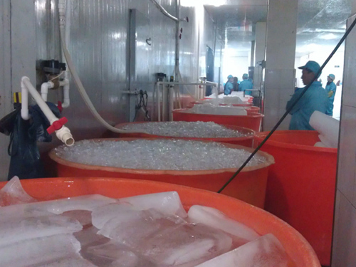 Food preservation