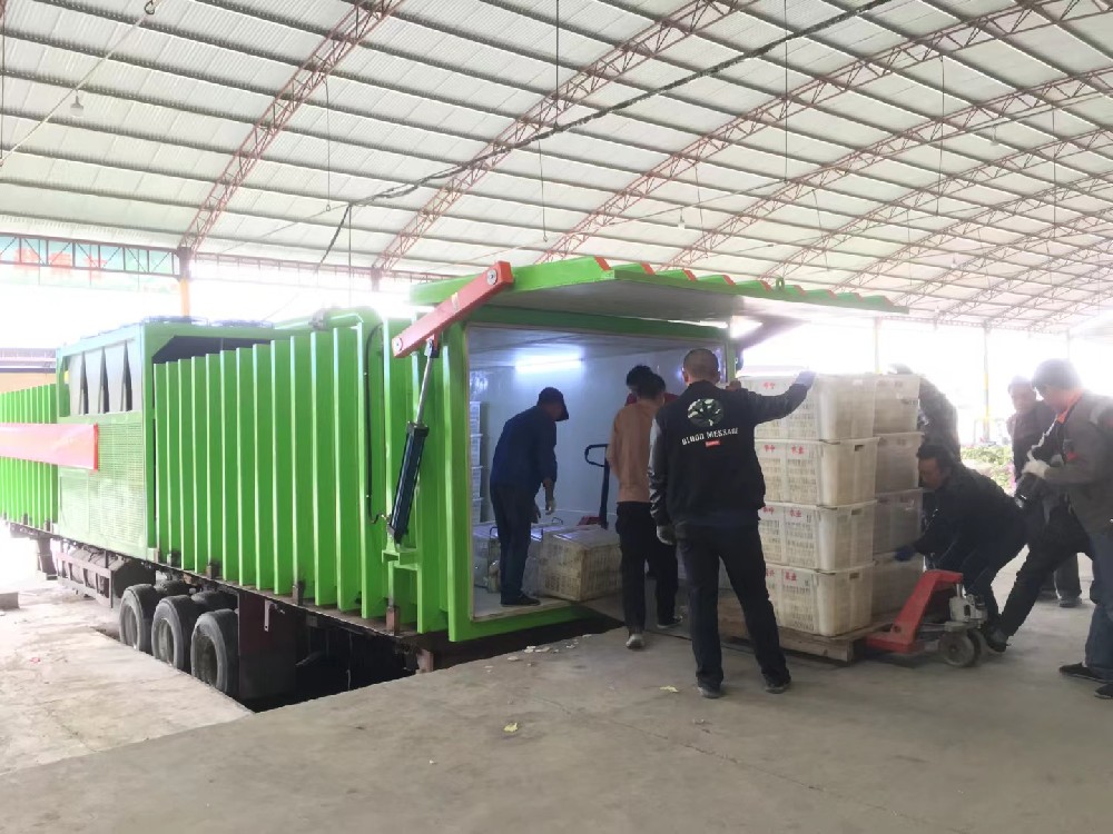 We developed the car double tank mobile fruit and vegetable vacuum precooler Gansu customer use site, the equipment has been used for nearly 5 years, the baby vegetables after vacuum is not bad dishes, long shelf life, good quality!