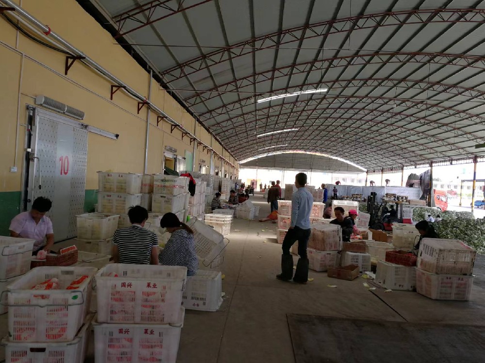 Gansu vegetable transportation and ice project, the daily output of 10 tons of pipe ice machine will be shipped.