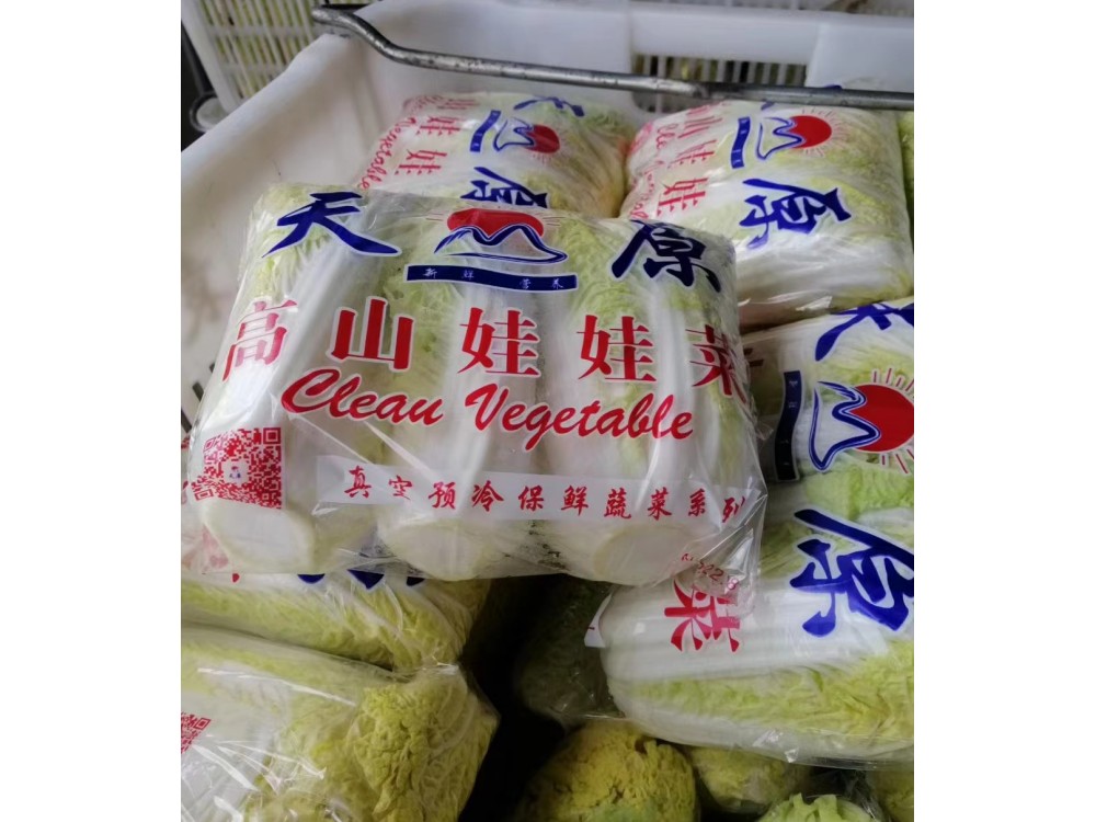 China's largest doll planting and processing base in Jinchang, Gansu, China, the installation of large-scale high-end vacuum precooler was completed.