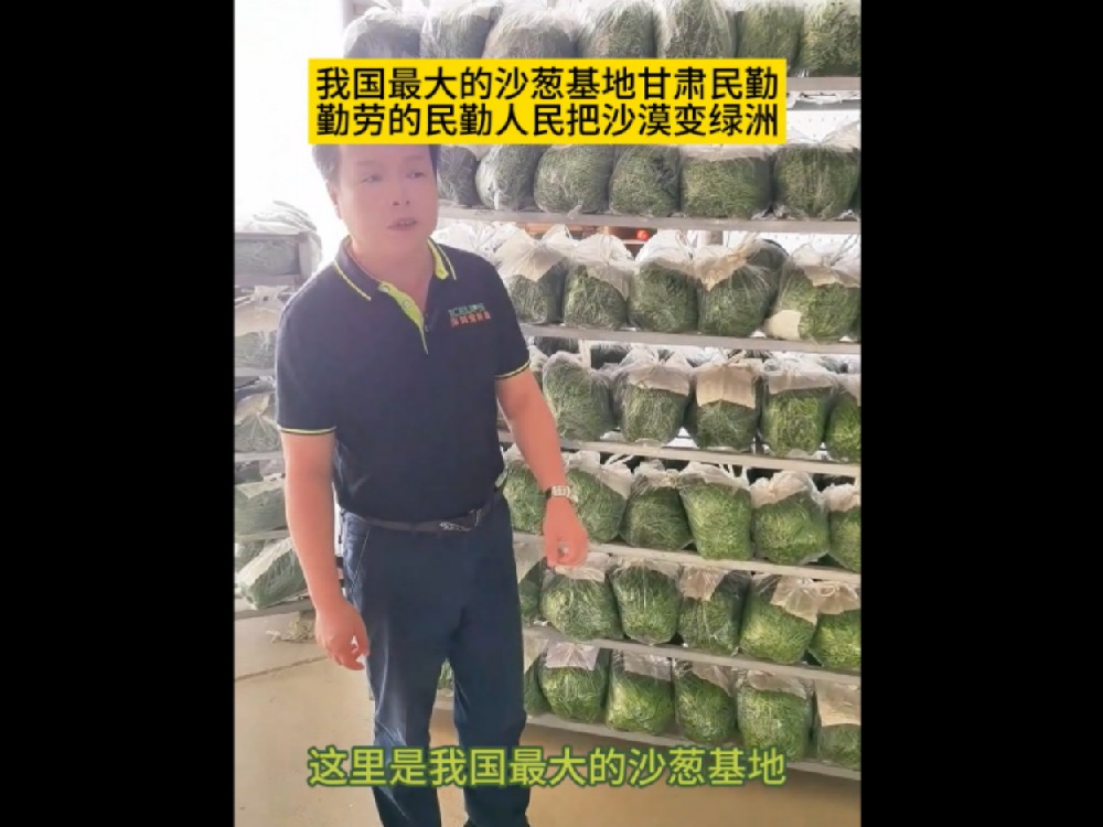 China's largest sand onion base, Minqin sand onion sent to all parts of the country