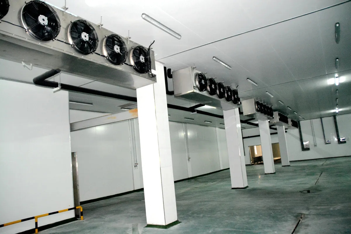 cr2.jpg