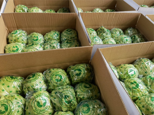Vegetable precooling