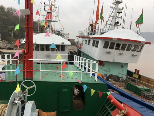 Marine ice making